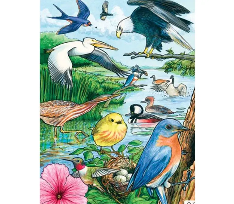 Cobble Hill North American Birds Puzzle – 35 Piece