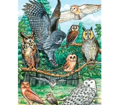Cobble Hill North American Owls Puzzle – 35 Piece