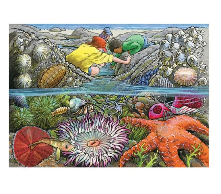 Cobble Hill Puzzle Tray Exploring the Seashore – 35 Piece
