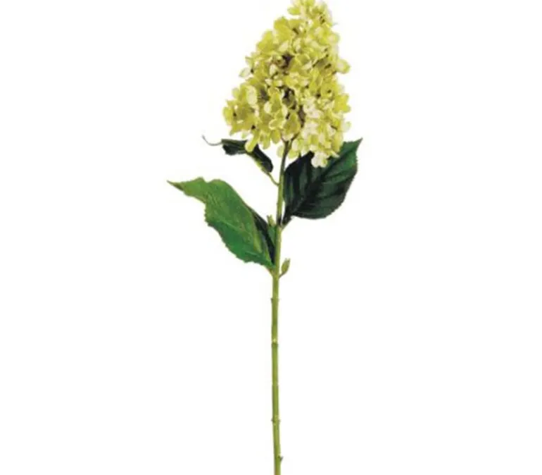 28″ Cone Hydrangea Spray, Lime