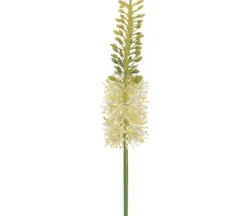 28″ Cone Hydrangea Spray, Lime