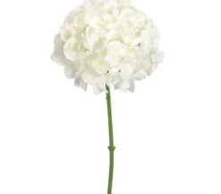 28″ Cone Hydrangea Spray, Lime