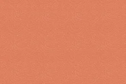 Country Mouse Spring Field White