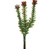 8″ Crassula Pick, Burgundy/Green
