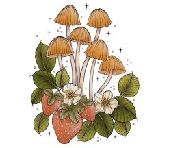 Creative  Haven – The Art of Mushrooms Coloring Book