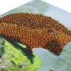 Crystal Art Diamond Painting Card Kit – Happy Hedgehogs