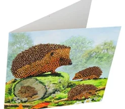 Crystal Art Diamond Painting Card Kit – Happy Hedgehogs