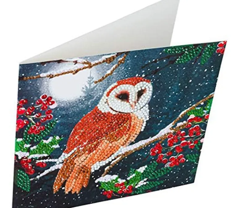 Crystal Art Diamond Painting Card Kit – Barn Owl