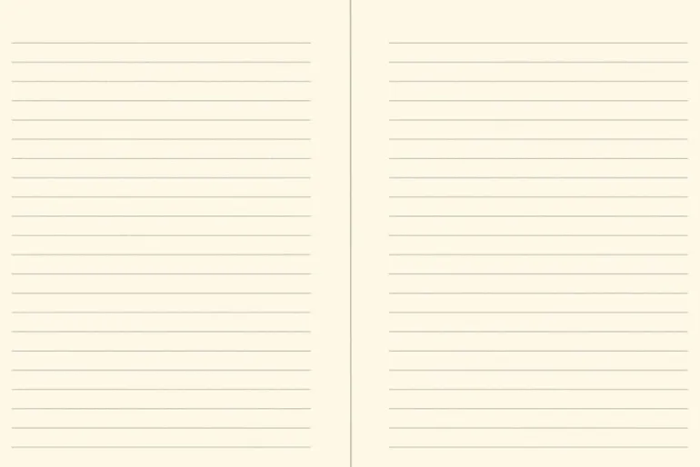 Curious Cat Journal