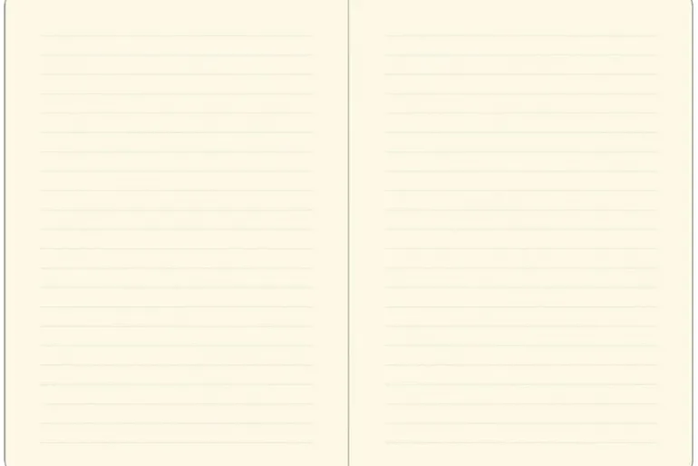 Curious Cat Journal