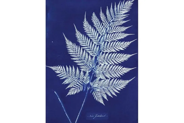 Cyanotype Chemistry Set