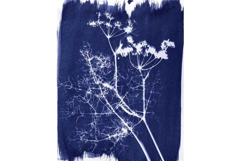 Cyanotype Chemistry Set