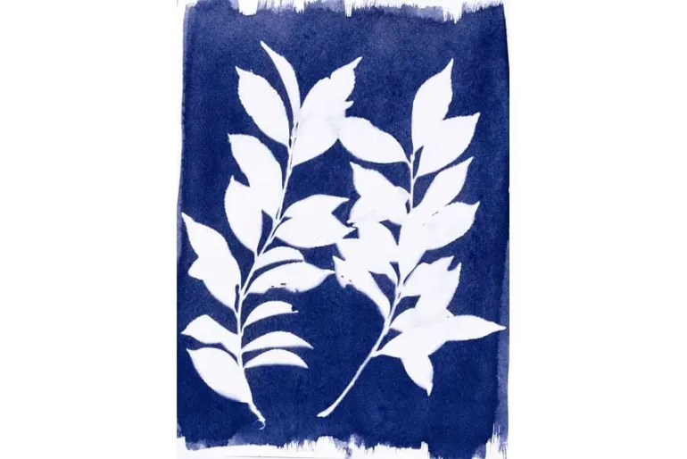 Cyanotype Chemistry Set