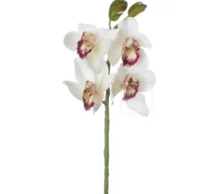 19″ Cymbidium Orchid Spray, Boysenberry