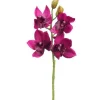 19″ Cymbidium Orchid Spray, Burgundy