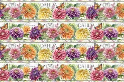 Dahlia Botanica Floral Repeating Stripe