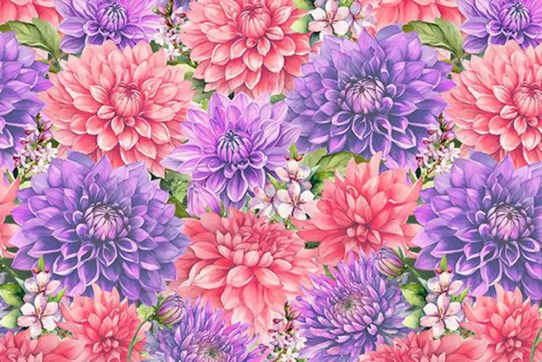 Dahlia Botanica Florals in Pink and Purple