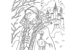 Dark Magic: A Gothic Fantasy Coloring Book
