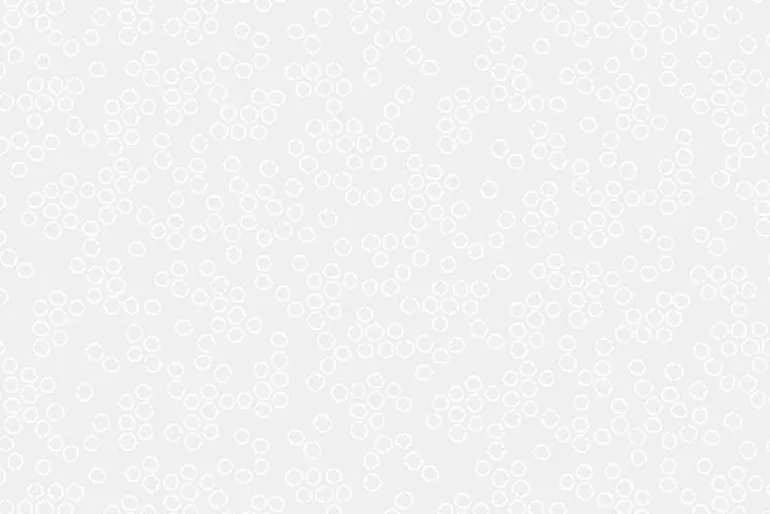 Dear Stella Monochrome Cute as a Button White on White