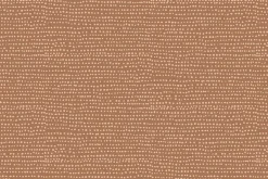 Dear Stella Moonscape Tonal in Bronze
