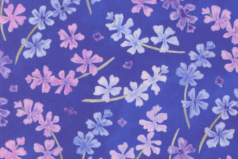 Delphinium Sea Pink on Bluebell