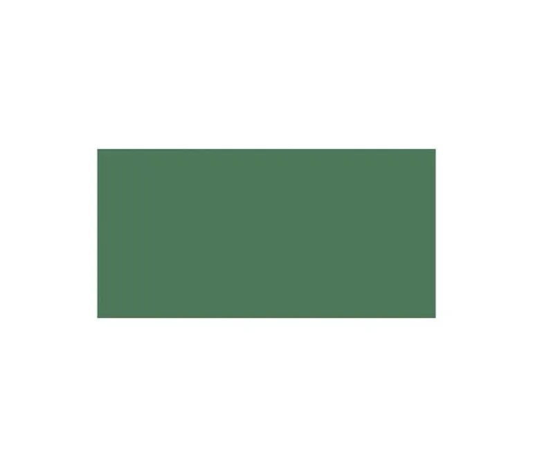 Delta Ceramcoat Acrylic Paint – 2-ounce – Forest Green Opaque