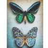 Diamond Dotz Antique Butterflies Kit