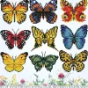 Diamond Dotz Butterfly Showcase Kit