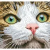 Diamond Dotz Green Eyed Beauty Kit