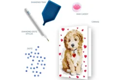 Diamond Dotz Greeting Card Kit – Lovely Boy