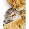 Diamond Dotz Kit – Tender Moment