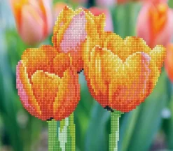 Diamond Dotz Love Tulips Kit
