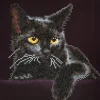 Diamond Dotz – Midnight Cat