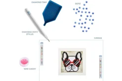 Diamond Dotz Quick Dotz Kit – Cool Sunnies Cameo