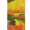 Diamond Dotz – Rainbow Parrots