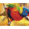 Diamond Dotz Rainbow Perch Kit