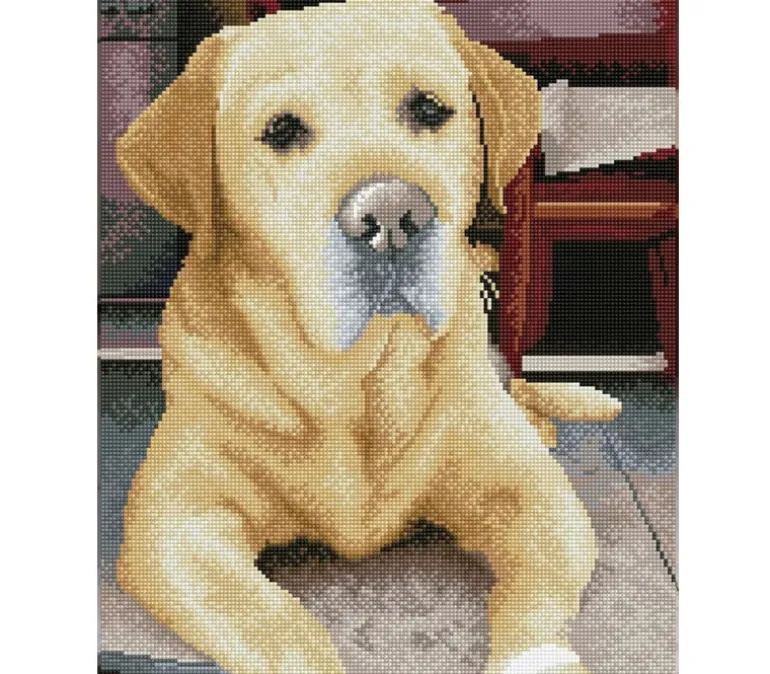 Diamond Dotz Squares King Kit