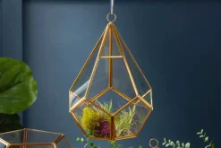Diamond Shape Glass Terrarium – 6″ x 8″ – Geometric Plant Display