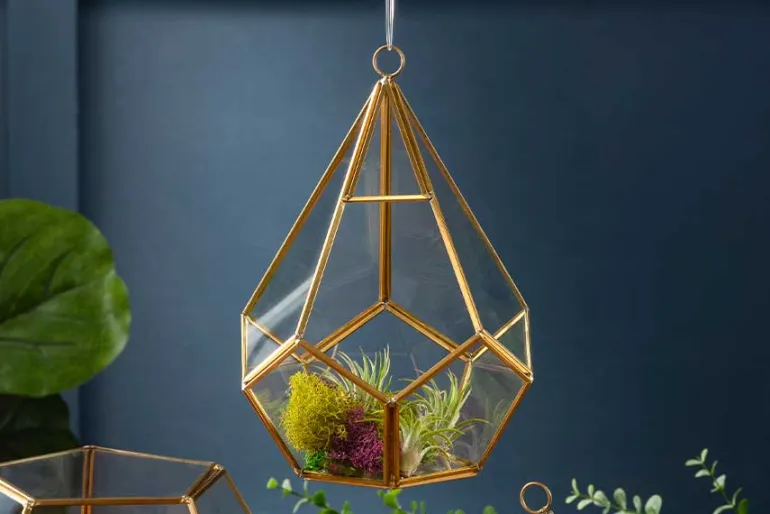 Diamond Shape Glass Terrarium – 6″ x 8″ – Geometric Plant Display