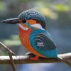 3D Model Kit – Quail