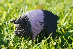 3D Model Kit – Quail