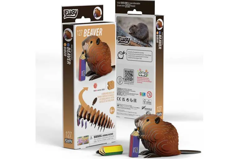 3D Model Kit – Quail