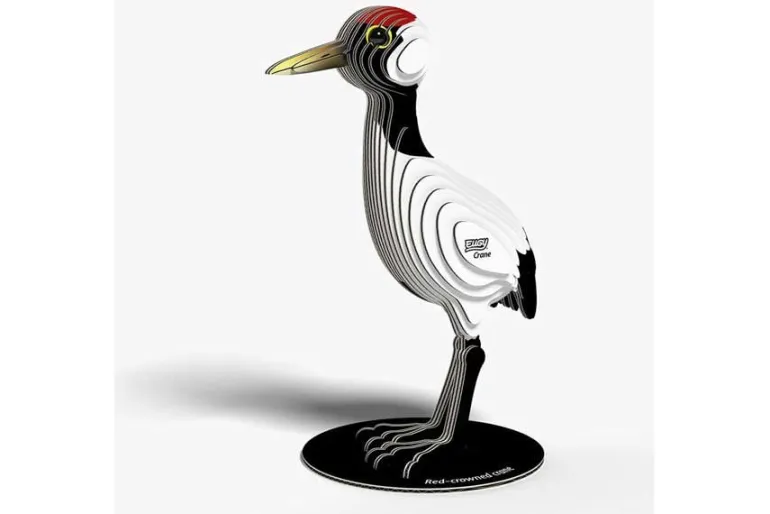 3D Model Kit – Quail
