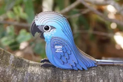 3D Model Kit – Quail
