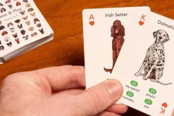 Dog Bingo