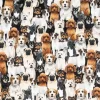 Dog-Pile Digital Cuddle Beige