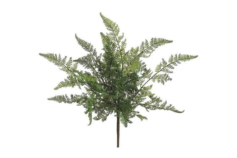 19″ Double Baby’s Breath Spray, Black