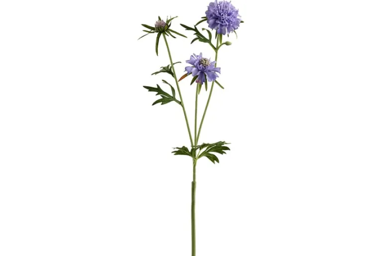 19″ Double Baby’s Breath Spray, Black