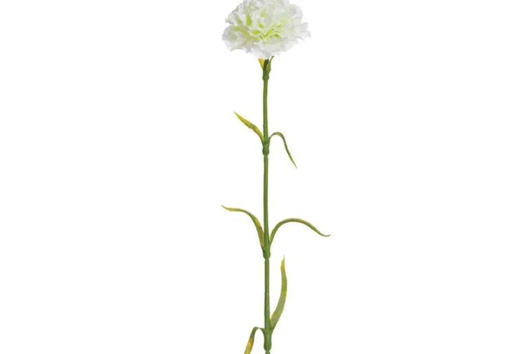 19″ Double Baby’s Breath Spray, Black