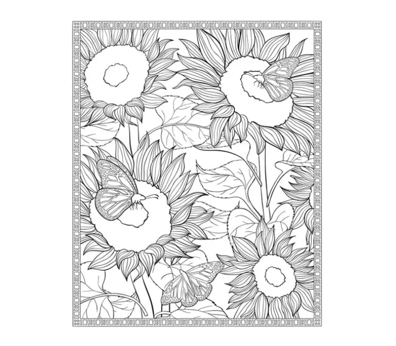 Dover Dream Relaxing Images to Color Colorbook
